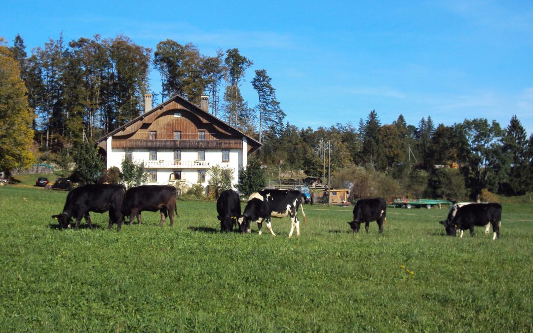 Famille Naef, Les Breuleux