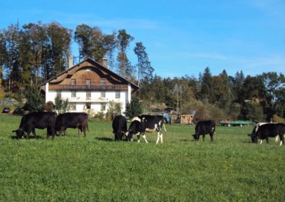 Famille Naef, Les Breuleux