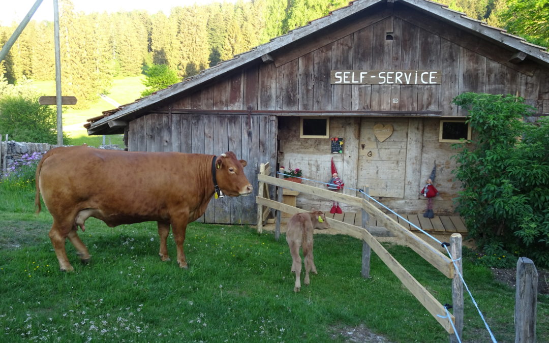 Les Saveurs du Cerneux-Belin, Les Cerlatez