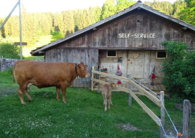 Les Saveurs du Cerneux-Belin, Les Cerlatez